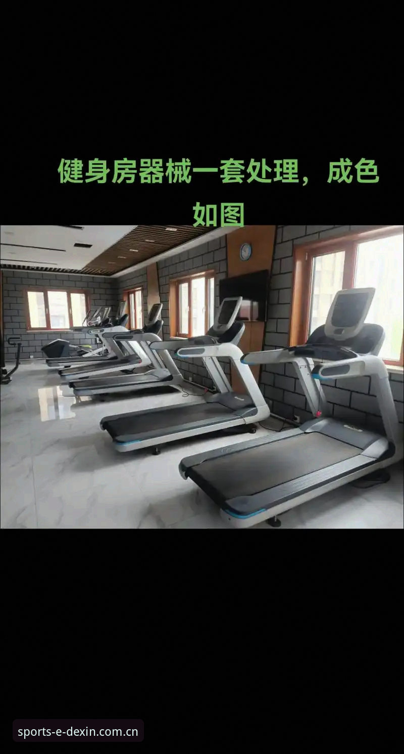 德信体育平台无障碍使用必备实用指南：从下载到数据服务的完整攻略